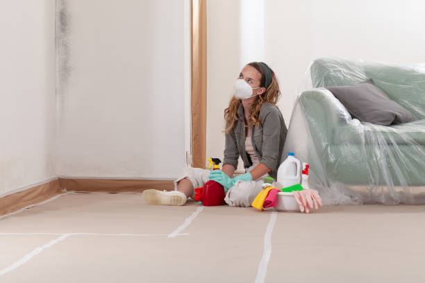Reliable Black Mold Removal contractor in Paris, KY by WQB Mold Removal